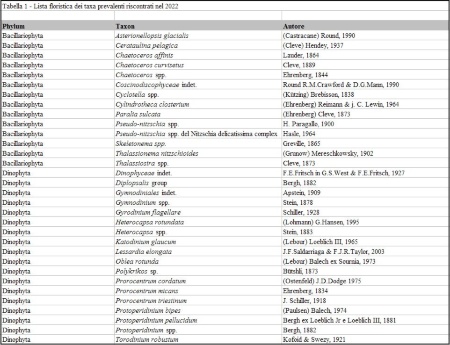 Tabella 1: Lista floristica dei taxa prevalenti (2022)