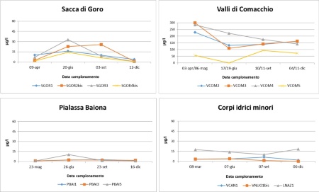 Figura 1: Concentrazione della clorofilla a nei corpi idrici di transizione (2024)