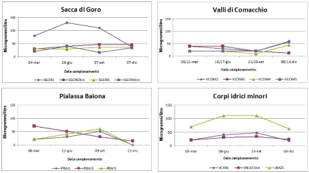 Figura 1: Andamento temporale delle concentrazioni di P-tot nelle acque di transizione, per corpo idrico e stazione di misura (2021)