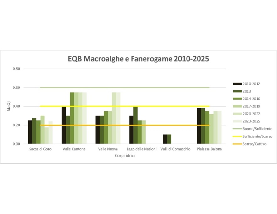 Stato di qualità per l’EQB Macroalghe e Fanerogame (2010-2025)