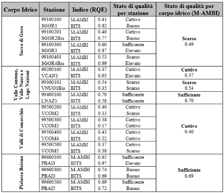 Tabella 1: Rapporto di Qualità Ecologica (RQE) per M-AMBI e BITS e stato di qualità per il macrobenthos (2023÷2025)