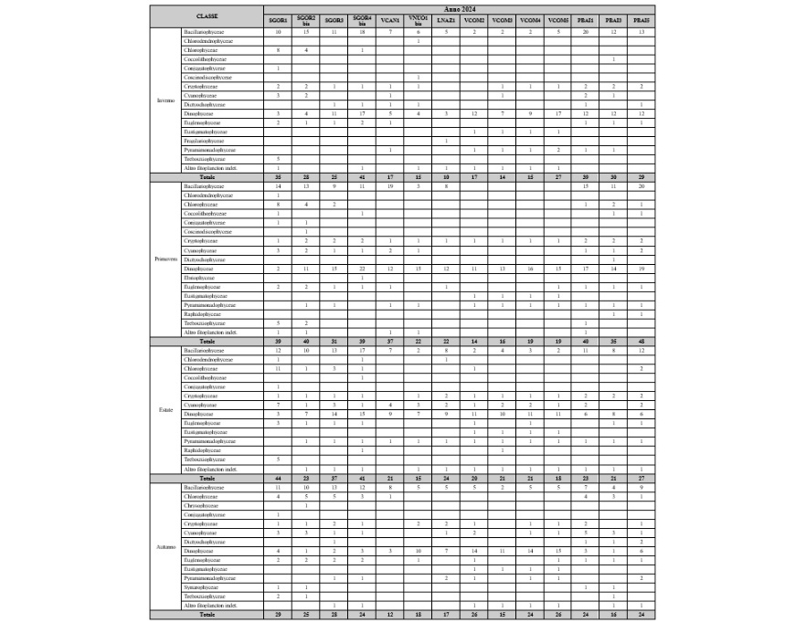 Composizione/Numero di taxa rilevati per stazione e per campagna (2024)