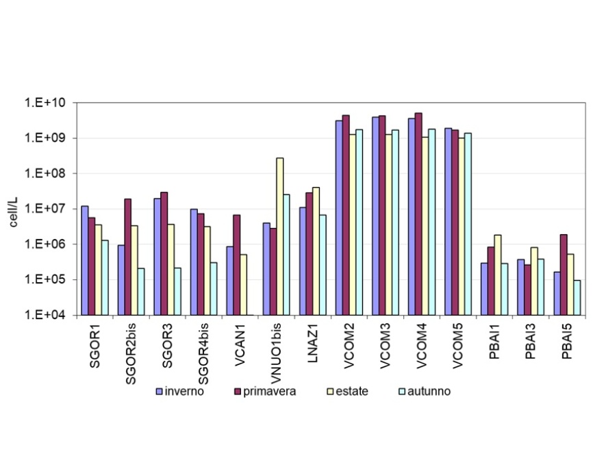 Abbondanze totali (cell/litro) per campagna di monitoraggio (2024)