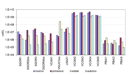Figura 1: Abbondanze totali (cell/litro) per campagna di monitoraggio (2024)