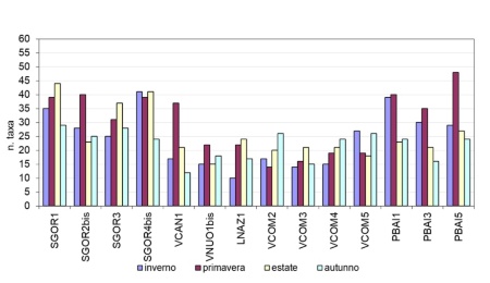 Figura 2: Numero di taxa per campagna di monitoraggio (2024)