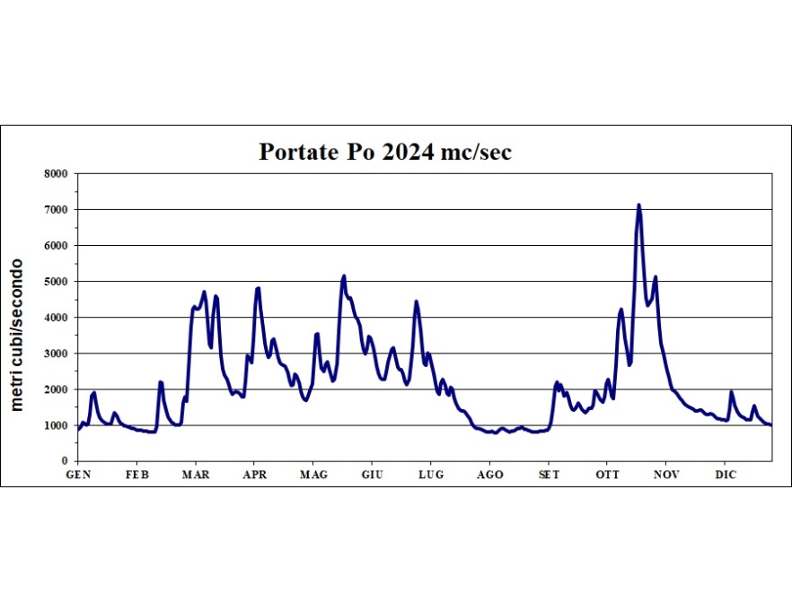 Portate giornaliere del fiume Po rilevate a Pontelagoscuro (FE) (2024)
