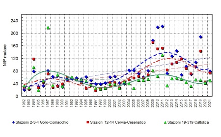 Figura 5: Trend delle medie geometriche annuali del rapporto N/P in tre aree della costa emiliano-romagnola (1982-2021)