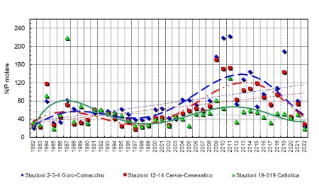 Figura 5: Trend delle medie geometriche annuali del rapporto N/P in tre aree della costa emiliano-romagnola (1982-2022)