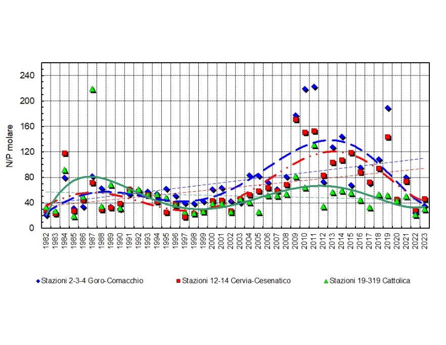 Trend delle medie geometriche annuali del rapporto N/P in tre aree della costa emiliano-romagnola (1982-2023)