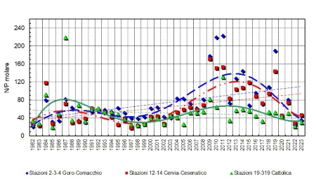 Figura 5: Trend delle medie geometriche annuali del rapporto N/P in tre aree della costa emiliano-romagnola (1982-2023)