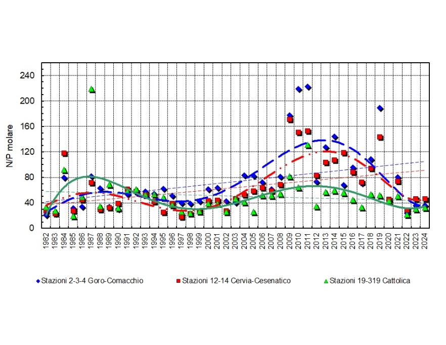 Trend delle medie geometriche annuali del rapporto N/P in tre aree della costa emiliano-romagnola (1982-2024)