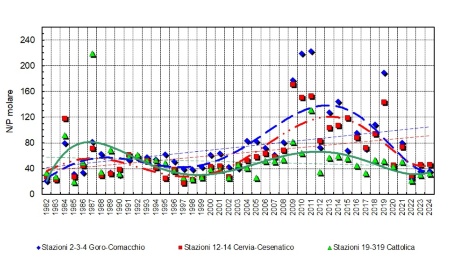 Figura 5: Trend delle medie geometriche annuali del rapporto N/P in tre aree della costa emiliano-romagnola (1982-2024)
