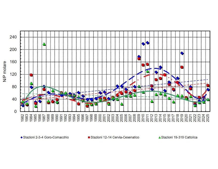 Trend delle medie geometriche annuali del rapporto N/P in tre aree della costa emiliano-romagnola (1982-2025)