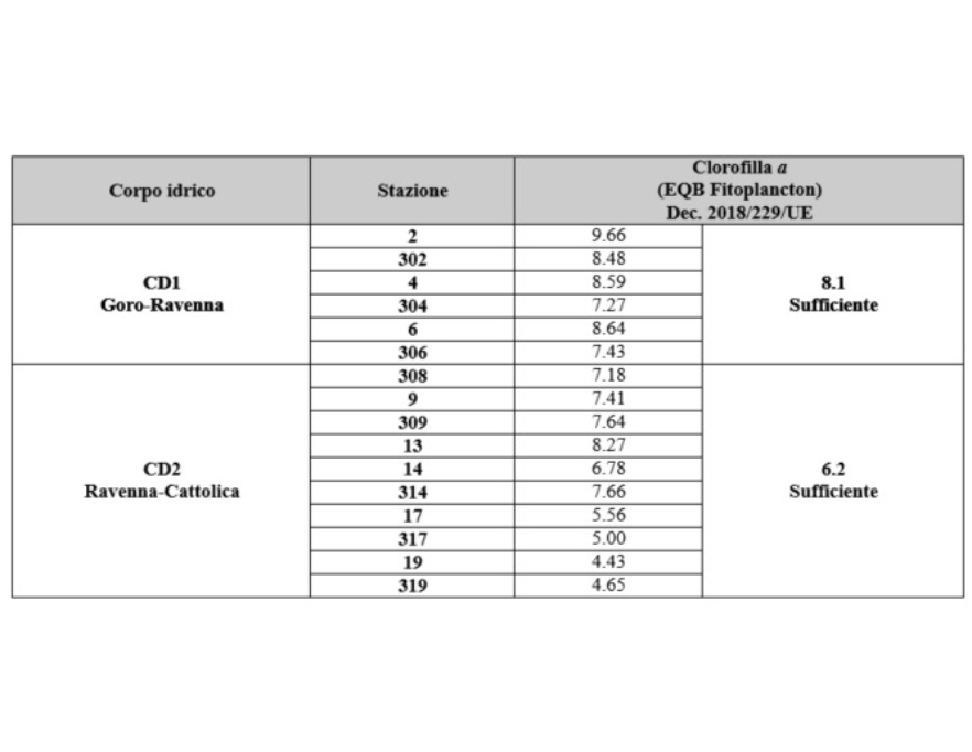 Confronto valori medi anno della clorofilla dei corpi idrici (CD1 e CD2) (2024)