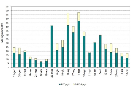 Figura 1: Andamento temporale della concentrazione del fosforo ortofosfato e fosforo totale nella stazione costiera di Lido di Volano (0,5 km da costa) (2023)