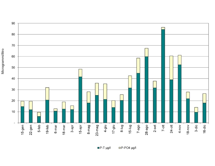 Andamento temporale della concentrazione del fosforo ortofosfato e fosforo totale nella stazione costiera di Lido di Volano (0,5 km da costa) (2024)