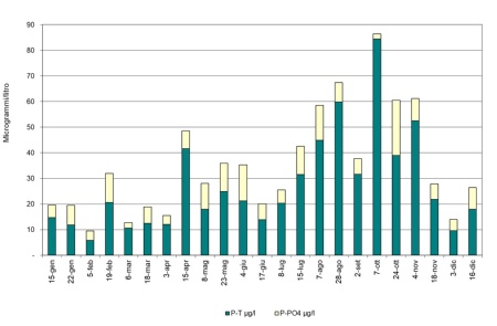 Figura 1: Andamento temporale della concentrazione del fosforo ortofosfato e fosforo totale nella stazione costiera di Lido di Volano (0,5 km da costa) (2024)