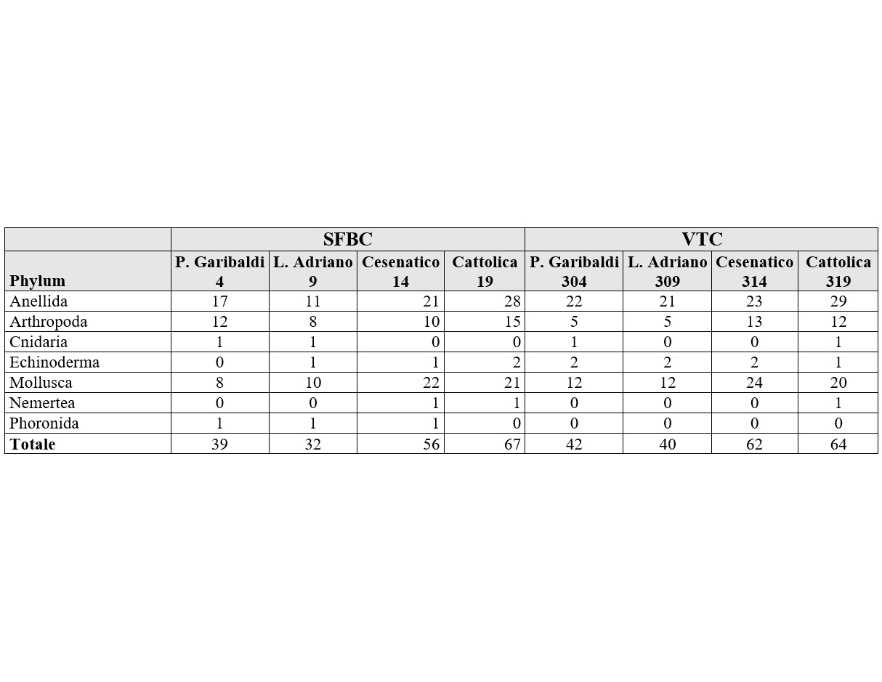 Numero di specie rinvenute per le biocenosi SFBC e VTC (2022)