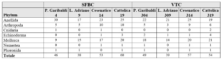 Tabella 1: Numero di specie rinvenute per le biocenosi SFBC e VTC (2023)