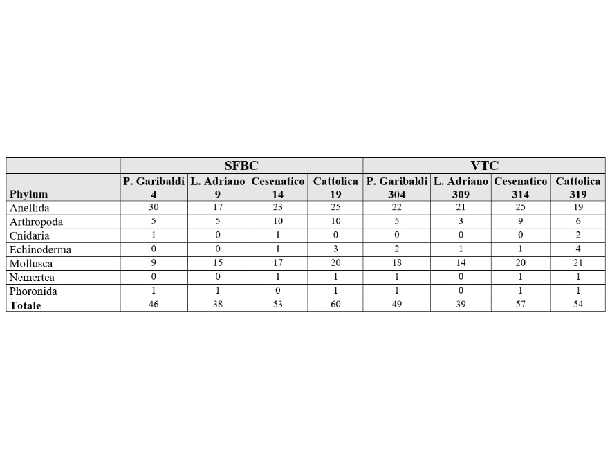 Numero di specie rinvenute per le biocenosi SFBC e VTC (2023)
