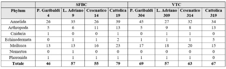 Tabella 1: Numero di specie rinvenute per le biocenosi SFBC e VTC (2024)