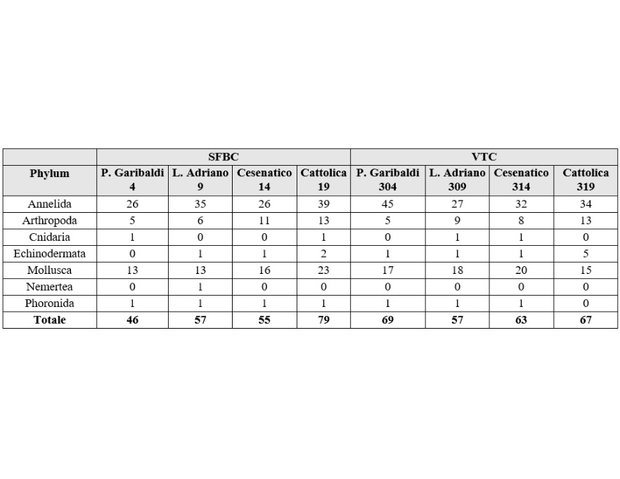 Numero di specie rinvenute per le biocenosi SFBC e VTC (2024)