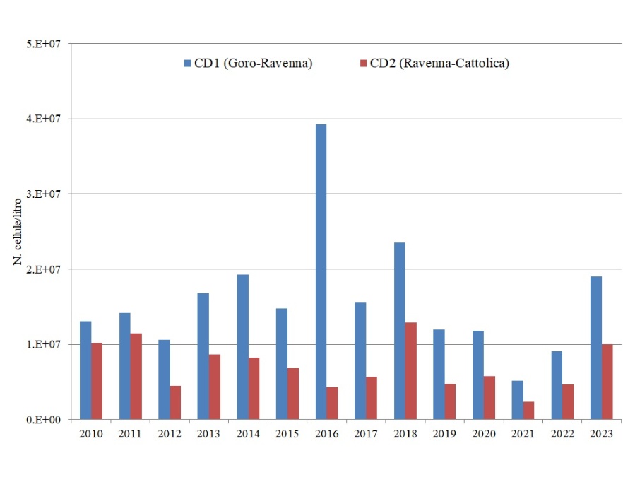 Medie annuali del fitoplancton totale nei corpi idrici CD1 e CD2 (2010-2023)