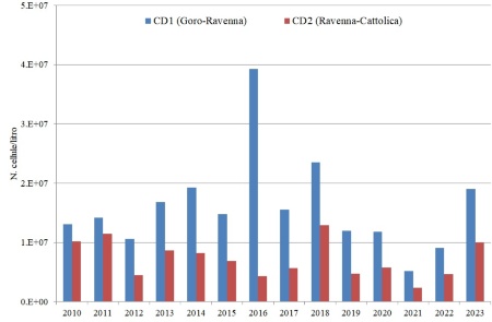 Figura 1: Medie annuali del fitoplancton totale nei corpi idrici CD1 e CD2 (2010-2022)