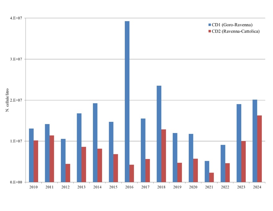 Medie annuali del fitoplancton totale nei corpi idrici CD1 e CD2 (2010-2024)
