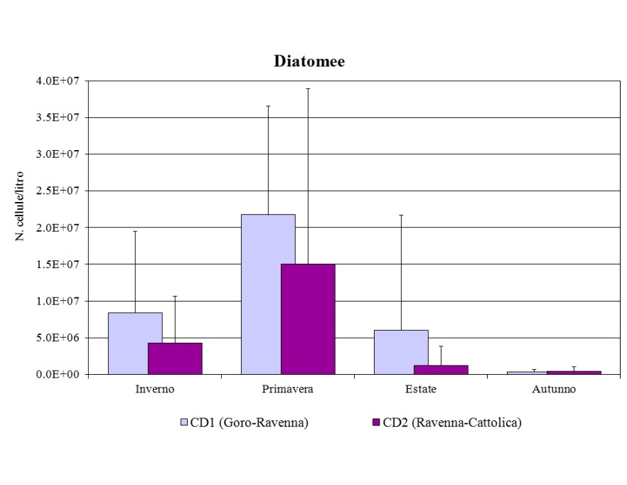 Medie stagionali delle abbondanze di Diatomee nei corpi idrici CD1 (Goro-Ravenna) e CD2 (Ravenna-Cattolica) (2013)