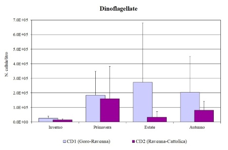 Figura 2b: Medie stagionali delle abbondanze di Dinoflagellate nei corpi idrici CD1 (Goro-Ravenna) e CD2 (Ravenna-Cattolica) (2023)