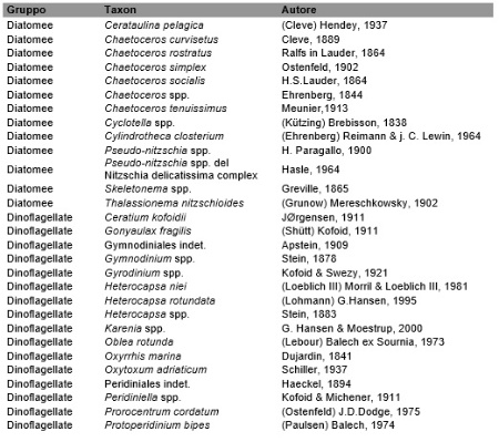 Tabella 1: Lista floristica dei taxa prevalenti (2024)