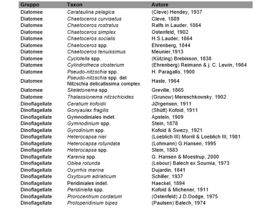 Lista floristica dei taxa prevalenti (2024)