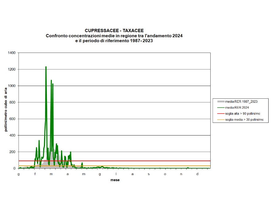 Cupressacee-Taxacee - Andamento regionale della concentrazione dei pollini per l'anno 2024 a confronto con il calendario pollinico (1987-2023) 