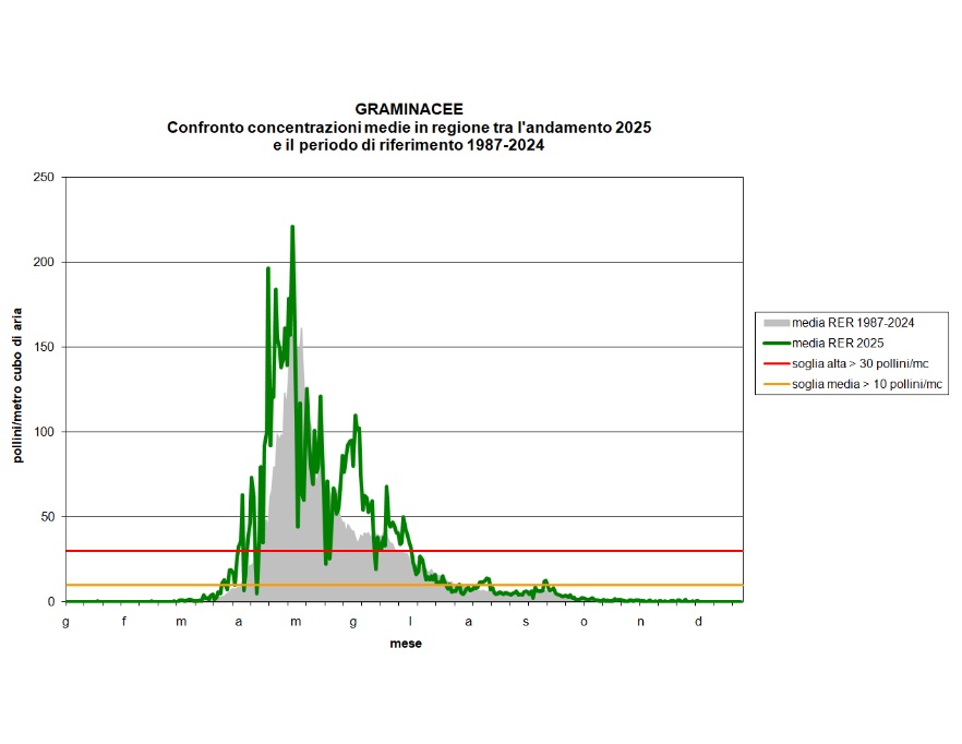Graminacee - Andamento regionale della concentrazione dei pollini per l'anno 2024 a confronto con il calendario pollinico (1987-2024)