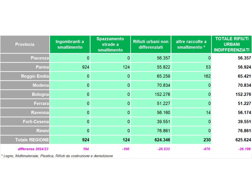 Raccolta dei rifiuti urbani indifferenziati, per tipologia (2024)