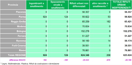 Tabella 1: Raccolta dei rifiuti urbani indifferenziati, per tipologia (2024)