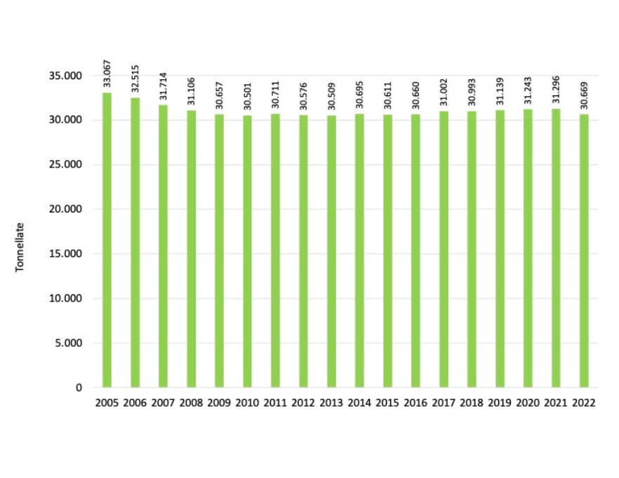 Quantitativi di azoto (tonnellate) derivanti dagli effluenti degli allevamenti bovini dell'Emilia-Romagna (2005-2022)