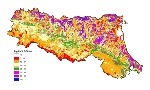 Argilla nell'orizzonte superficiale dei suoli 