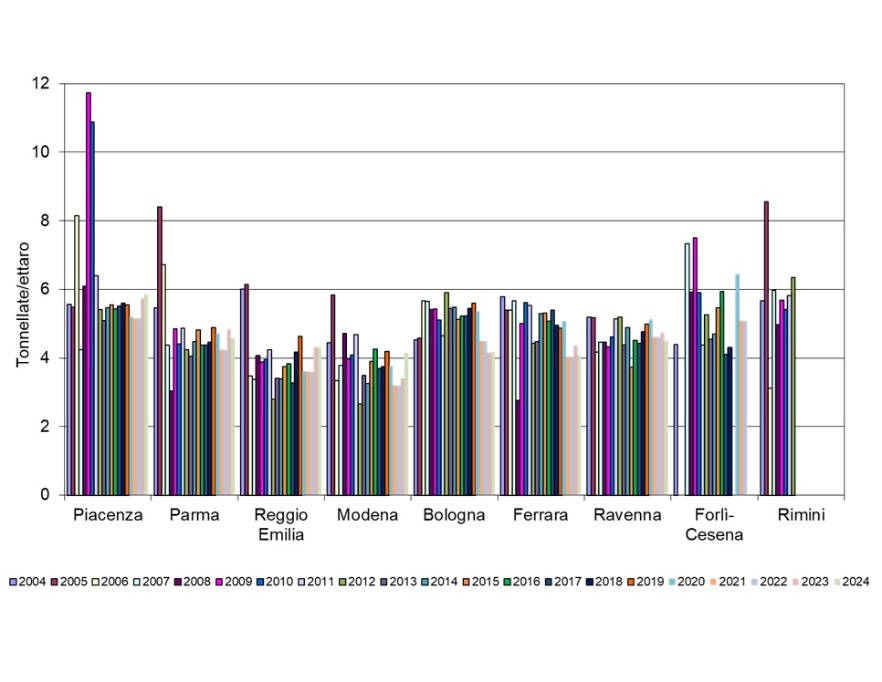 Andamento temporale del carico (tonnellate/ettaro) di fanghi (S.S.) di depurazione distribuiti per provincia (2004-2024)
