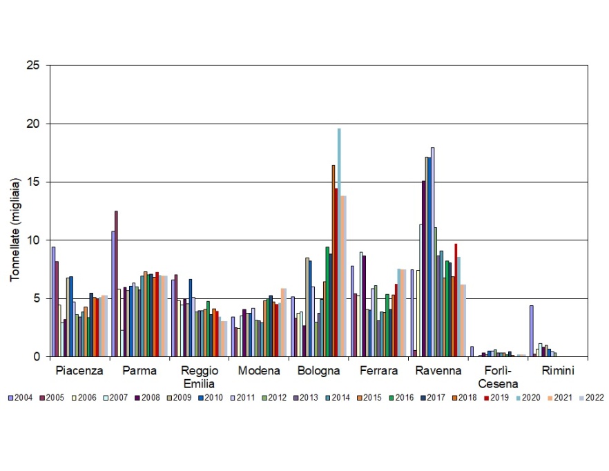 Andamento temporale dei quantitativi (tonnellate) di fanghi (sostanza secca) distribuiti per provincia (2004-2022)