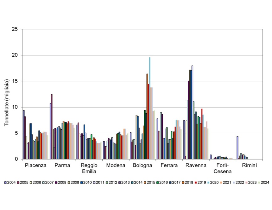 Andamento temporale dei quantitativi (tonnellate) di fanghi (sostanza secca) distribuiti per provincia (2004-2024)