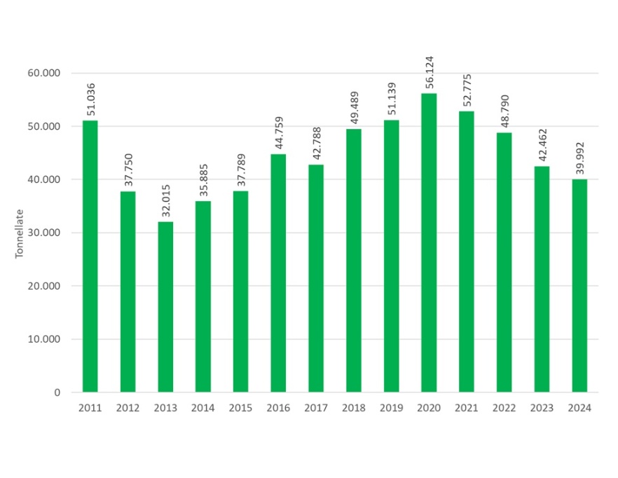 Andamento temporale dei quantitativi (tonnellate) di fanghi (sostanza secca) distribuiti in Emilia-Romagna (2004-2024)