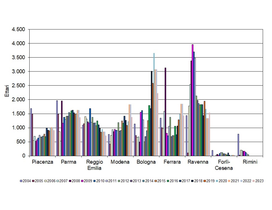 Andamento temporale delle superfici (ettari) utilizzate per lo spandimento dei fanghi di depurazione, per provincia (2004-2023)