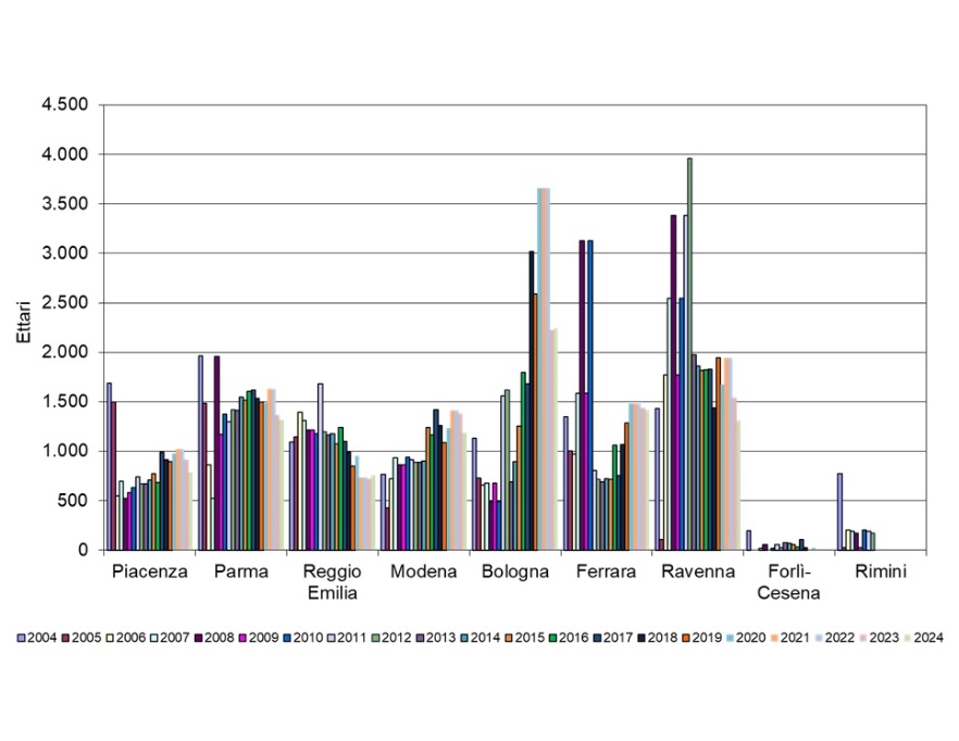 Andamento temporale delle superfici (ettari) utilizzate per lo spandimento dei fanghi di depurazione, per provincia (2004-2024)